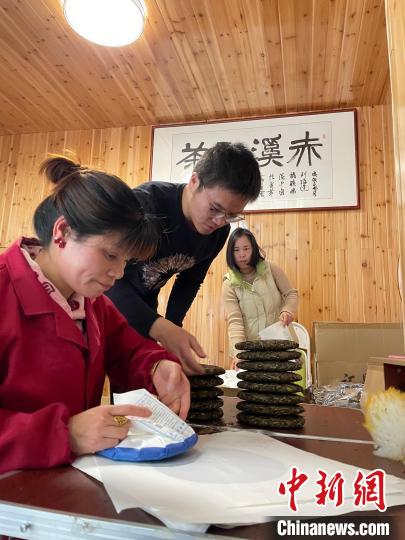 資料圖：杜贏(左二)在整理白茶餅?！×执阂?攝